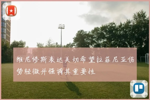 维尼修斯表达关切希望拉菲尼亚伤势轻微并强调其重要性
